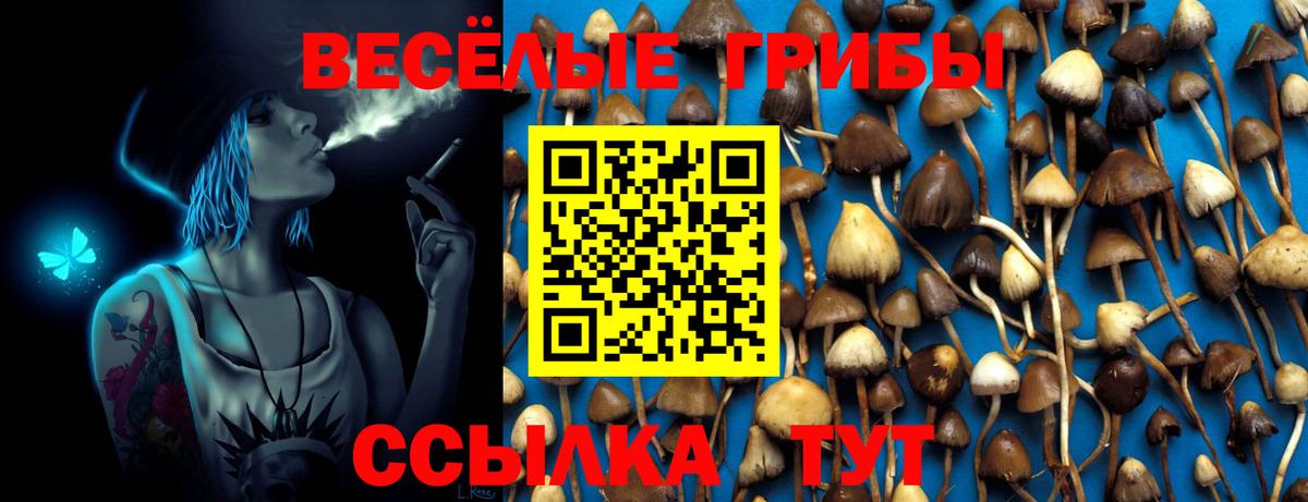 Кунгур  Псилоцибиновые грибы прущие грибы  Галлюциногенные грибы мухоморы  Вход с VPN 