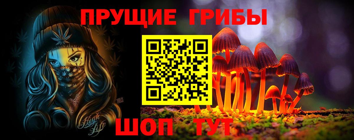 Псилоцибиновые грибы Cubensis Кунгур